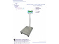 electronic-commercial-weighing-scales-in-jinja-small-0