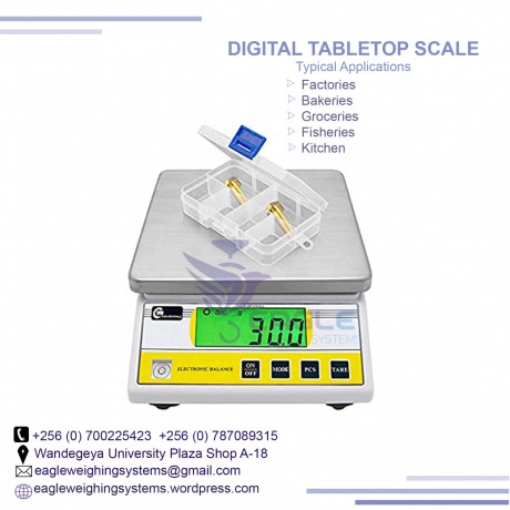 waterproof-type-stainless-steel-weighing-scales-big-0