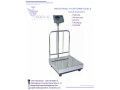 digital-industrial-weighing-scales-in-kampala-small-0