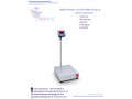 weighing-floor-scales-at-eagle-weighing-systems-ltd-small-0