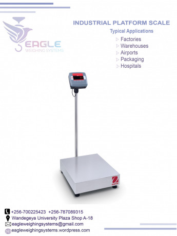 weighing-floor-scales-at-eagle-weighing-systems-ltd-big-0