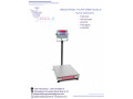 a12e-platform-weighing-scales-in-kampala-uganda-small-0