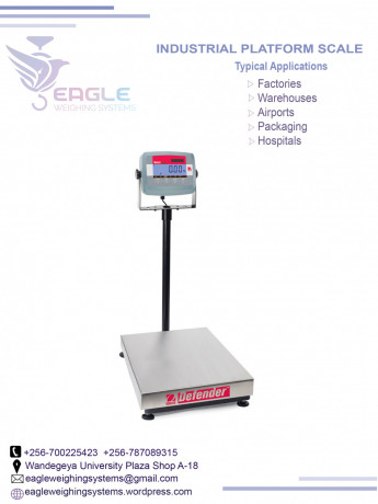 a12e-platform-weighing-scales-in-kampala-uganda-big-0