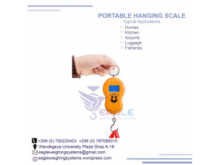 50kg Portable Travel hanging scale luggage scale