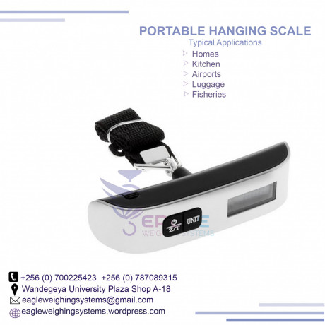 1-ton-digital-hanging-crane-scales-big-0