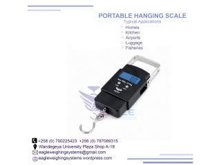 1 ton digital hanging crane scales