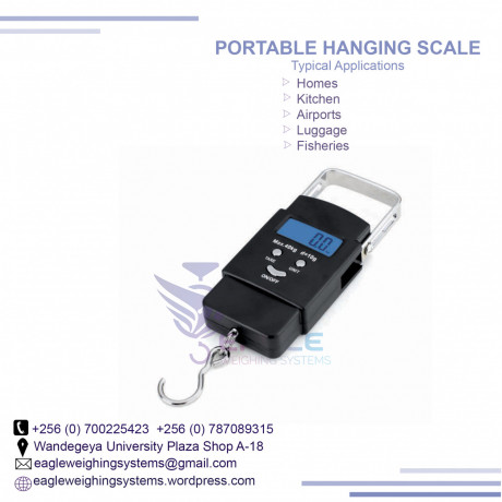 1-ton-digital-hanging-crane-scales-big-0