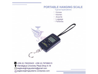 1 ton digital hanging crane scales