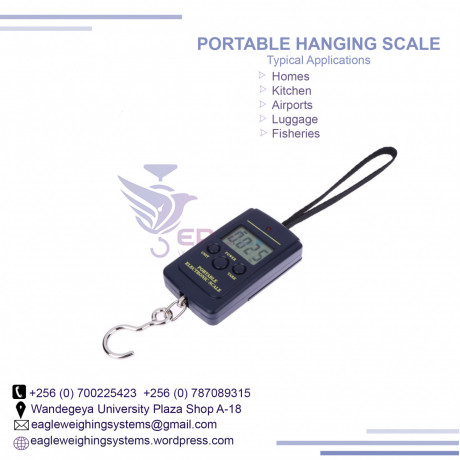 1-ton-digital-hanging-crane-scales-big-0