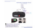 10-ton-crane-scales-small-0