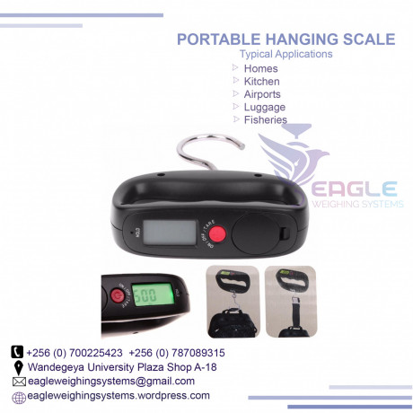 10-ton-crane-scales-big-0