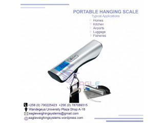 High-Precision Hanging Weighing Scale