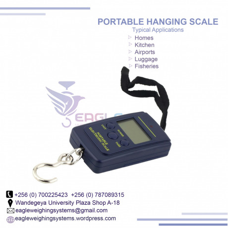 high-precision-hanging-weighing-scale-big-0