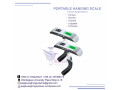 high-precision-hanging-weighing-scale-small-0
