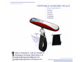 longlasting-hanging-weighing-scale-small-0