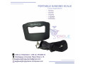 longlasting-hanging-weighing-scale-small-0