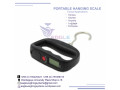 longlasting-hanging-weighing-scale-small-0