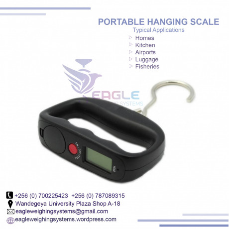 longlasting-hanging-weighing-scale-big-0