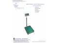 electronic-weighing-scales-at-eagle-weighing-systems-small-0