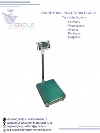 electronic-weighing-scales-at-eagle-weighing-systems-big-0