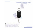 hook-scales-for-weighing-fish-small-0