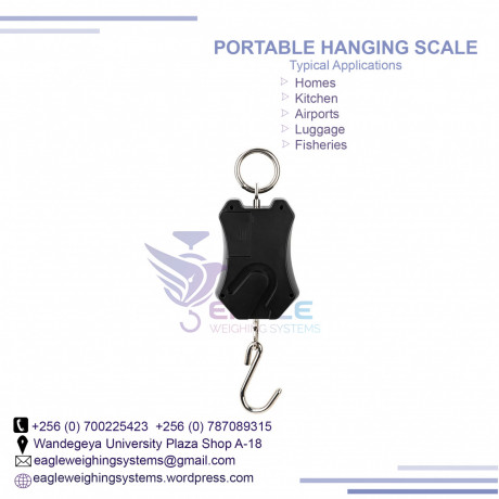 hook-scales-for-weighing-fish-big-0
