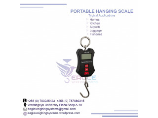 OCS electronic balance luggage scales