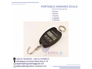 Industrial hanging/weighing crane scale