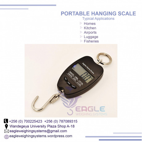 industrial-hangingweighing-crane-scale-big-0