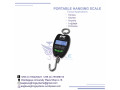 eletronic-weighing-small-0
