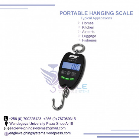 eletronic-weighing-big-0