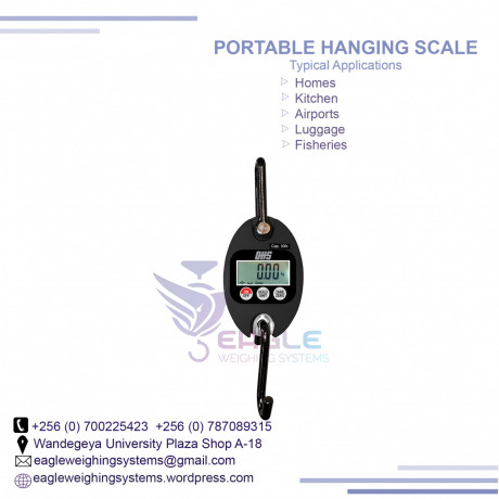 digital-crane-portable-electronic-weighing-scales-big-0