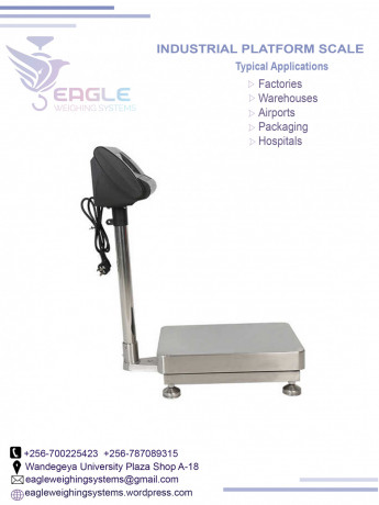 300kg-digital-platform-weighing-scale-in-mukono-big-0