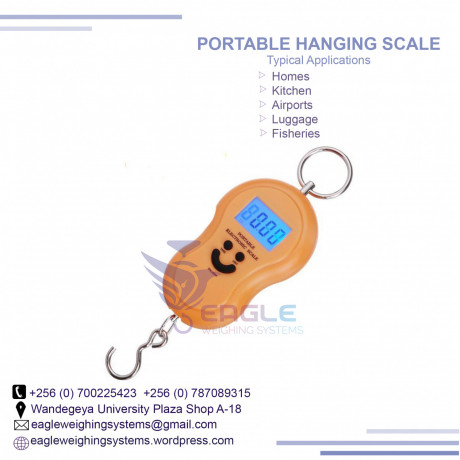 digital-bluetooth-hook-hanging-crane-scale-big-0