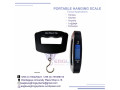 hanging-weighing-scales-50kg-small-0