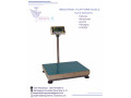 platform-floor-scale-industrial-weighing-scales-in-mukono-small-0