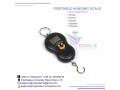 digital-industrial-calibrated-weighing-scales-small-0