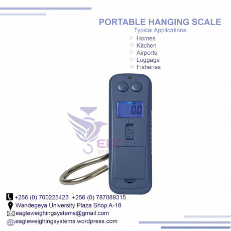 crane-scales-for-luggage-at-eagle-weighing-scales-big-0