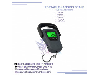 High Precision Hanging Digital Scale