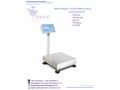 electronic-platform-digital-weighing-scale-with-railing-in-kampala-small-0