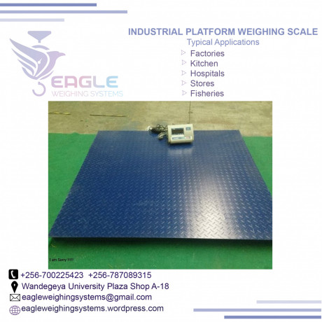 digital-platform-scale-40kg-electronic-weigh-scale-in-kampala-big-0