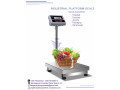 do-you-need-a-weighing-scale-small-0