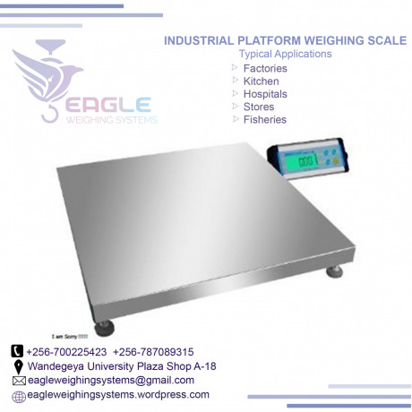 electronic-floor-weighing-scale-bench-scales-in-kampala-big-0