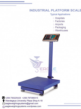 electronic-industrial-platform-scales-big-0