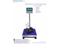 platform-weighing-scales-at-eagle-weighing-systems-ltd-small-0