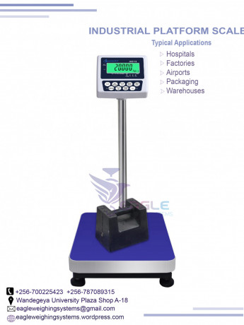 platform-weighing-scales-at-eagle-weighing-systems-ltd-big-0