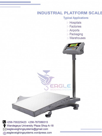 electronic-industrial-platform-scales-big-0