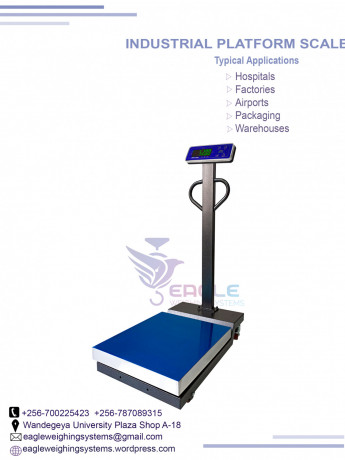 platform-weighing-scales-at-eagle-weighing-systems-ltd-big-0