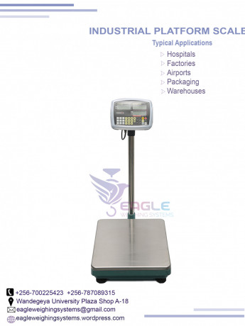 platform-weighing-scales-supplier-in-entebbe-big-0
