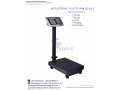 weighing-floor-scales-at-eagle-weighing-systems-ltd-small-0